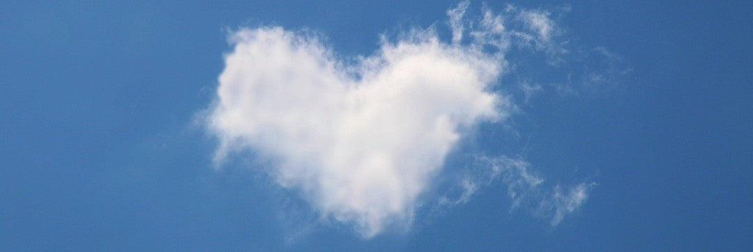 EnglishGCSE.co.uk Rewards