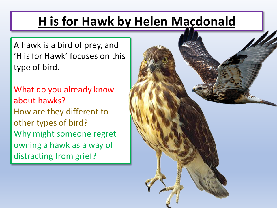 Add Hawk H is for Hawk Edexcel IGCSE – EnglishGCSE.co.uk